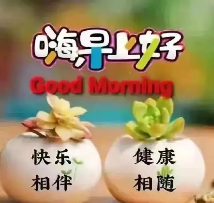微信群发早晨好表情包图片大全 早上好问候语表情动态图片