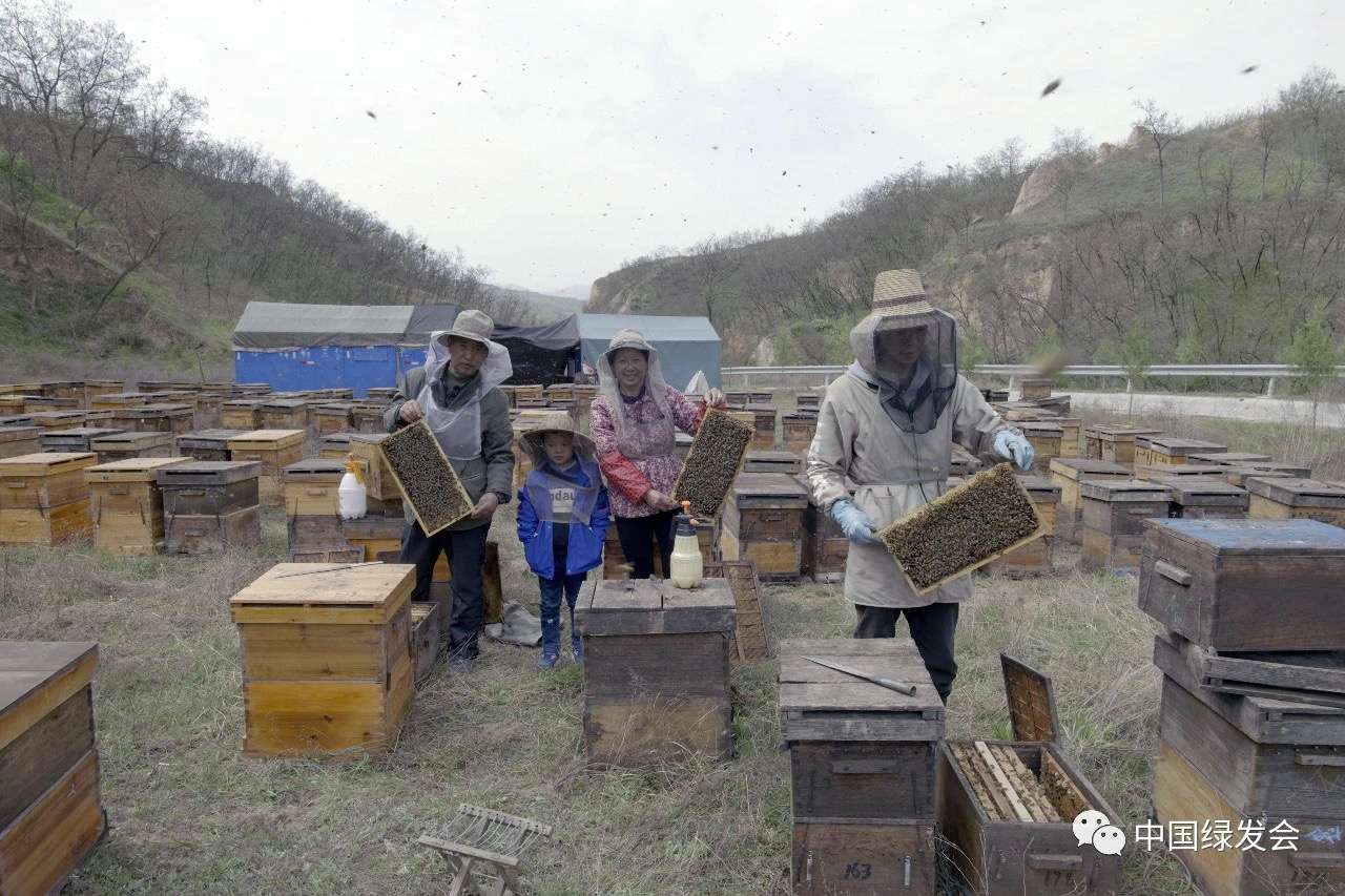 蜂巢基金支持纪录片下一步拟拍摄蜜蜂产业 欢迎有关方面联系 知乎