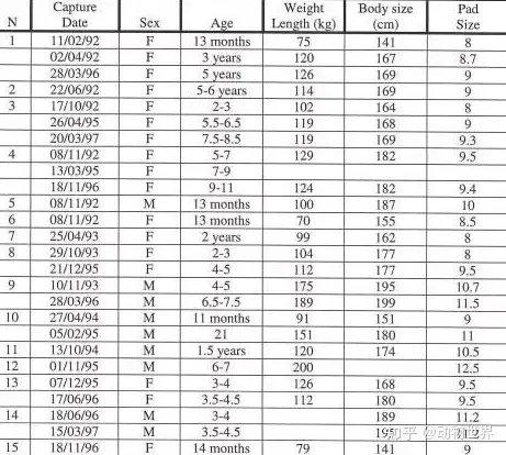 东北虎的真实体重 知乎