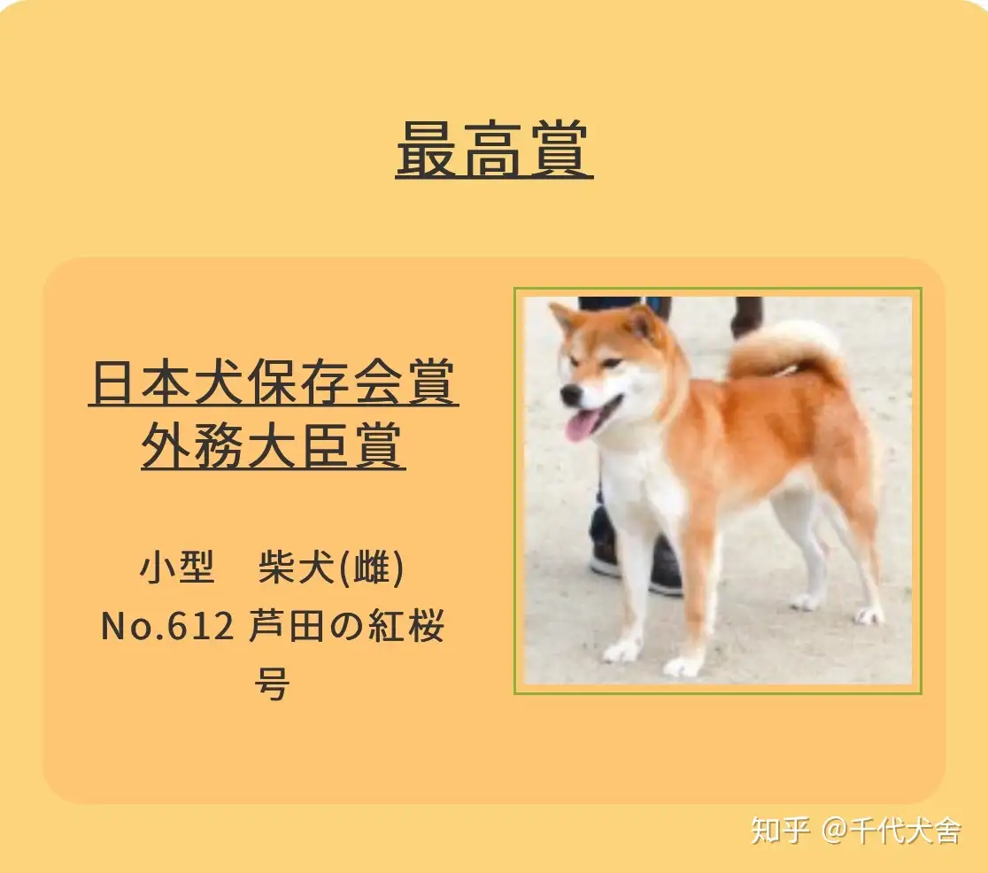 日本犬保存会（日保会） - 知乎