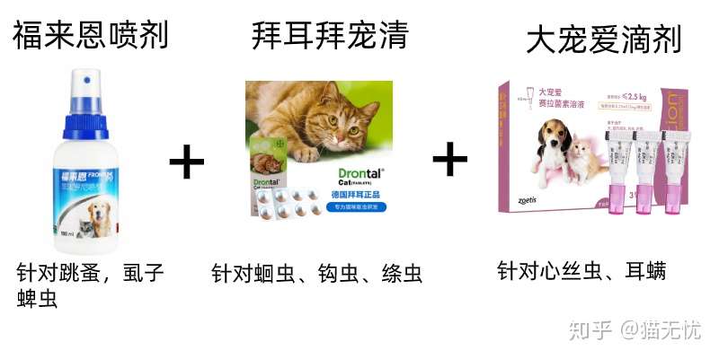 猫咪如何进行内外驱虫 猫咪驱虫方案推荐 知乎