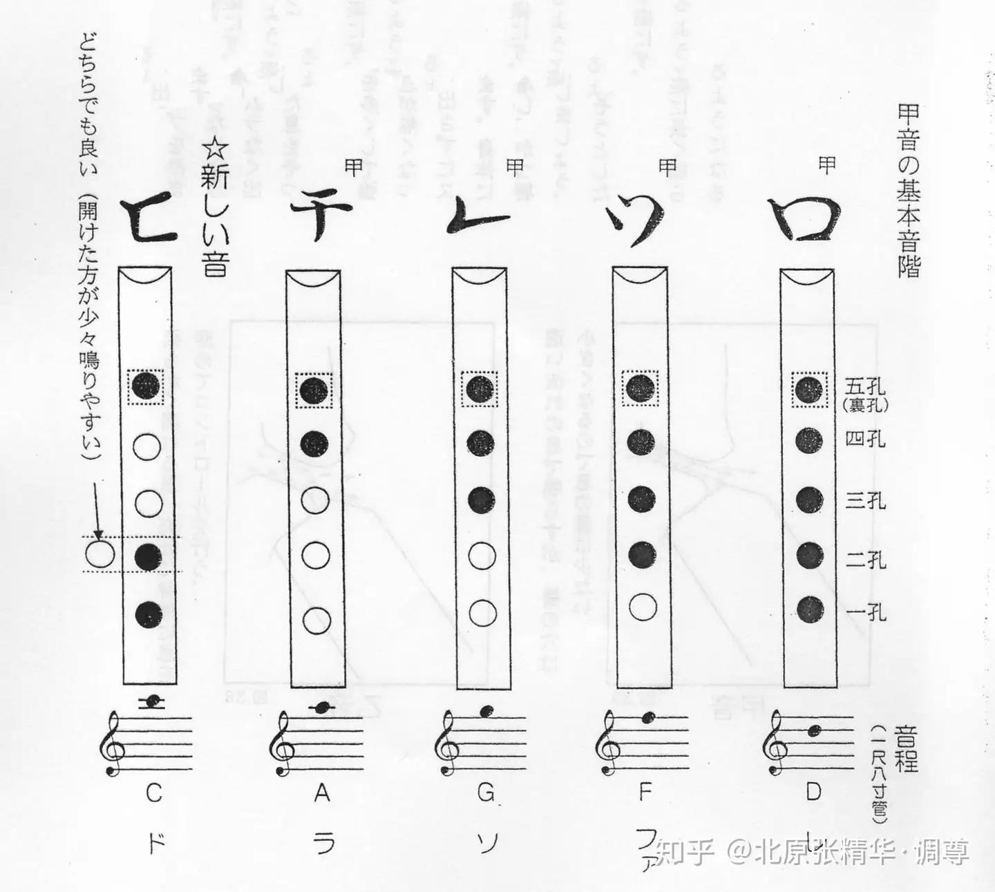 琴古流尺八基础乐谱识谱教程音符篇- 知乎