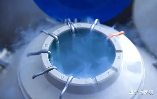 上海供卵公司（医羽：做国内试管婴儿需要准备哪些材料和需要做好哪些检查？）
