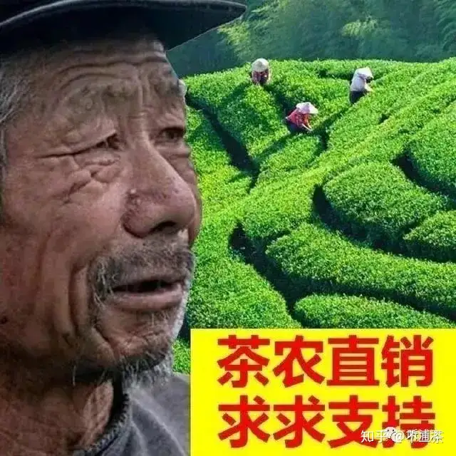 语出惊老板，就靠这50条关于茶的干货！ - 知乎