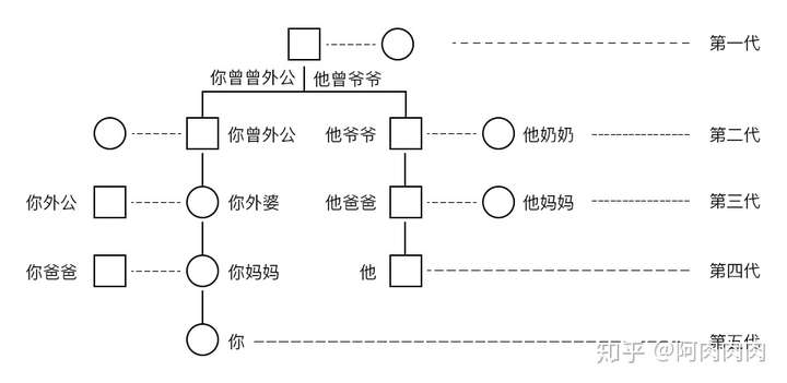 旁系五代图解图片