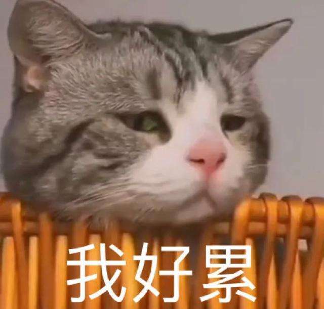 女生不主动要不要继续给喜欢的人发消息? 女生不主动要不要继续给喜欢的人发消息?