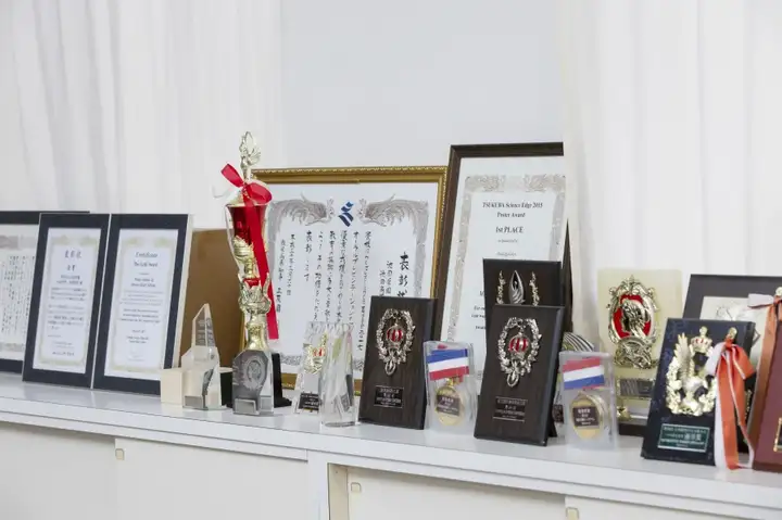 请输入图片描述