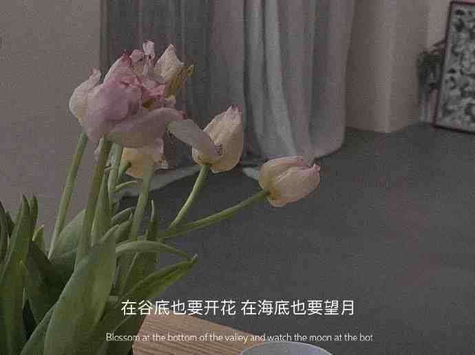 有哪些神仙句子让你记到现在的?插图59 有哪些神仙句子让你记到现在的?插图59
