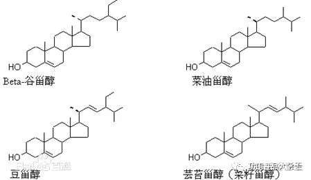 生命的钥匙 植物甾醇 知乎