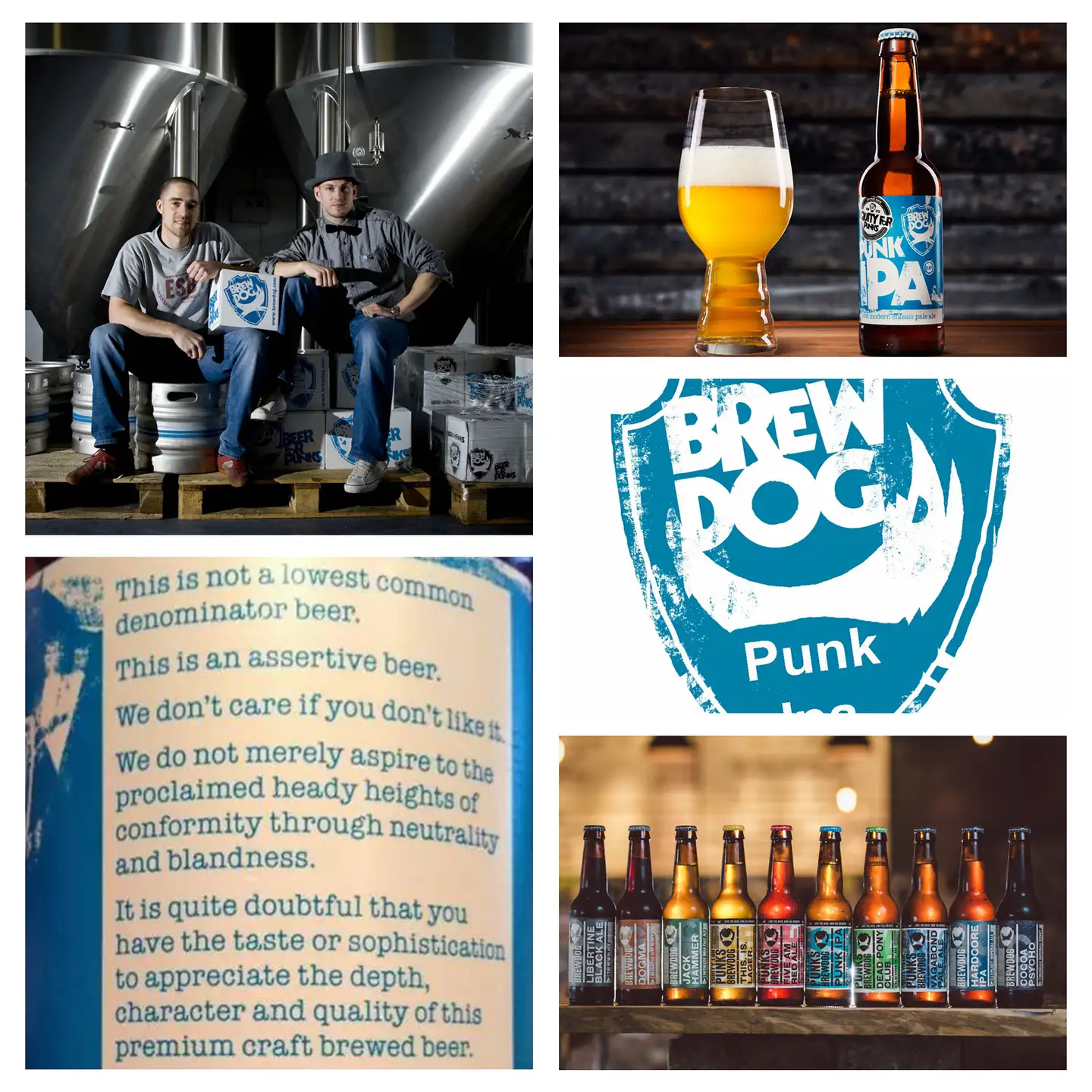 啤酒能给我们带来怎样的精彩纷呈 知乎