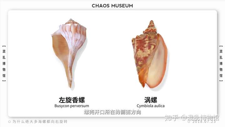 有哪些让你觉得神奇的冷知识?(图2)