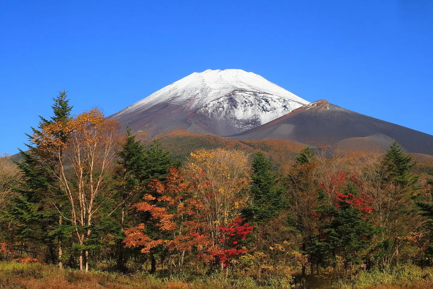 关于富士山你还可以换这几个姿势看 知乎