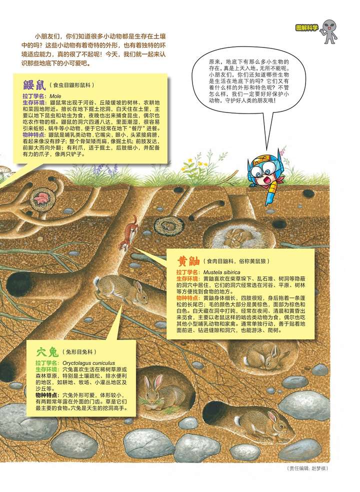 地底下的小可爱们