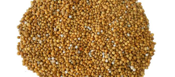 再也不怕不懂施肥 施肥全攻略 下 技能 知乎