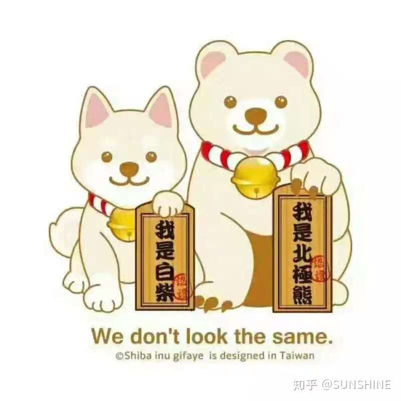 柴犬小讲堂 柴犬鉴别之毛色篇 知乎