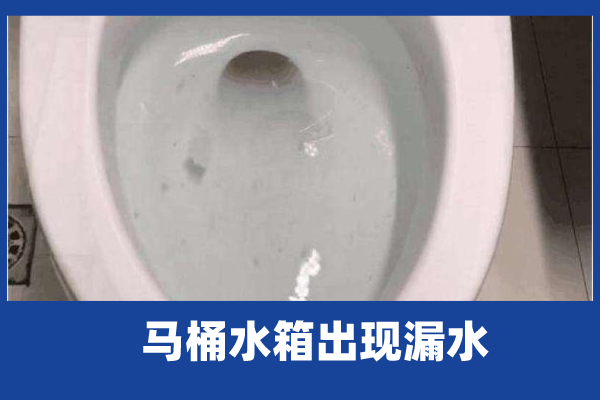 啄木鸟家庭维修 马桶水箱出现漏水 知乎