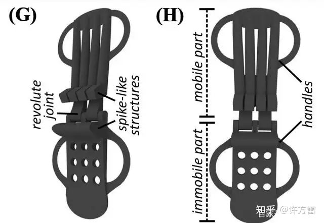 科学家受蜻蜓启发开发3D打印“尖头关节”，用于治疗手腕受伤