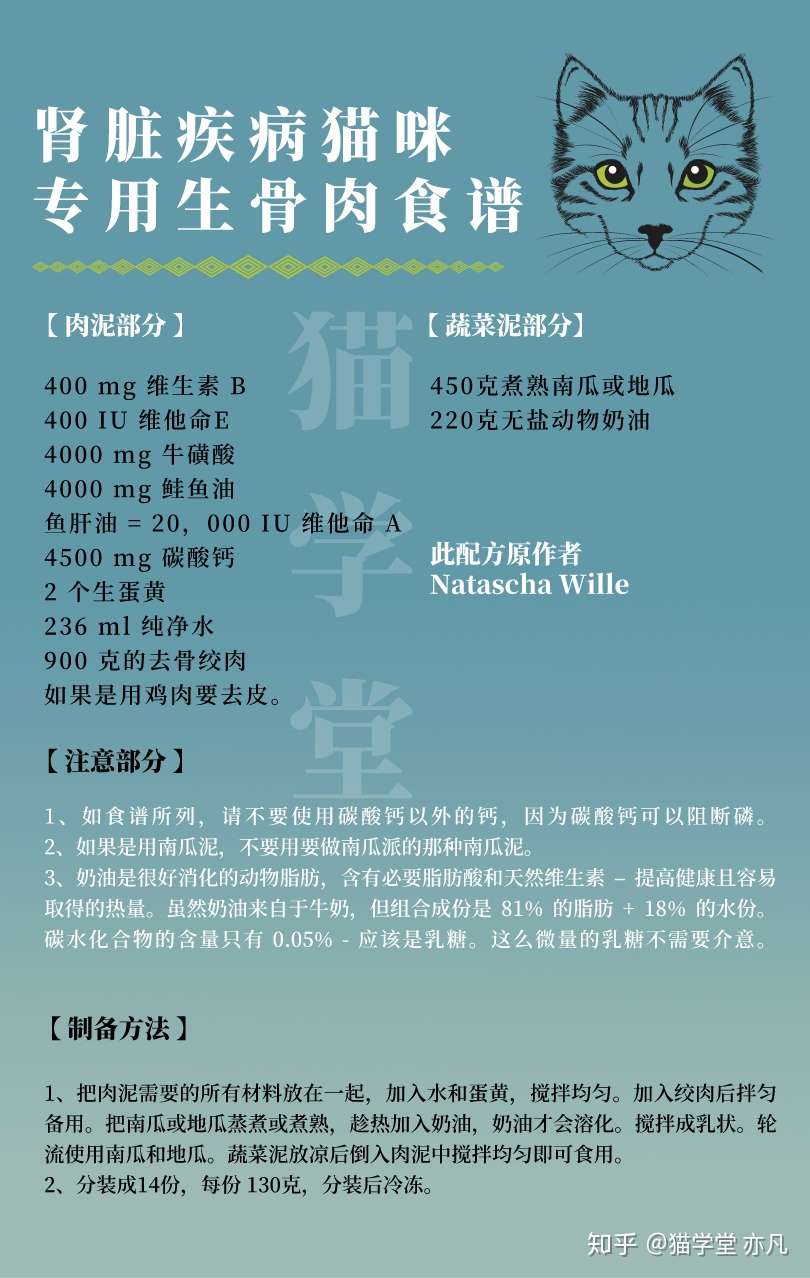 专为肾病猫设计的生骨肉食谱 知乎