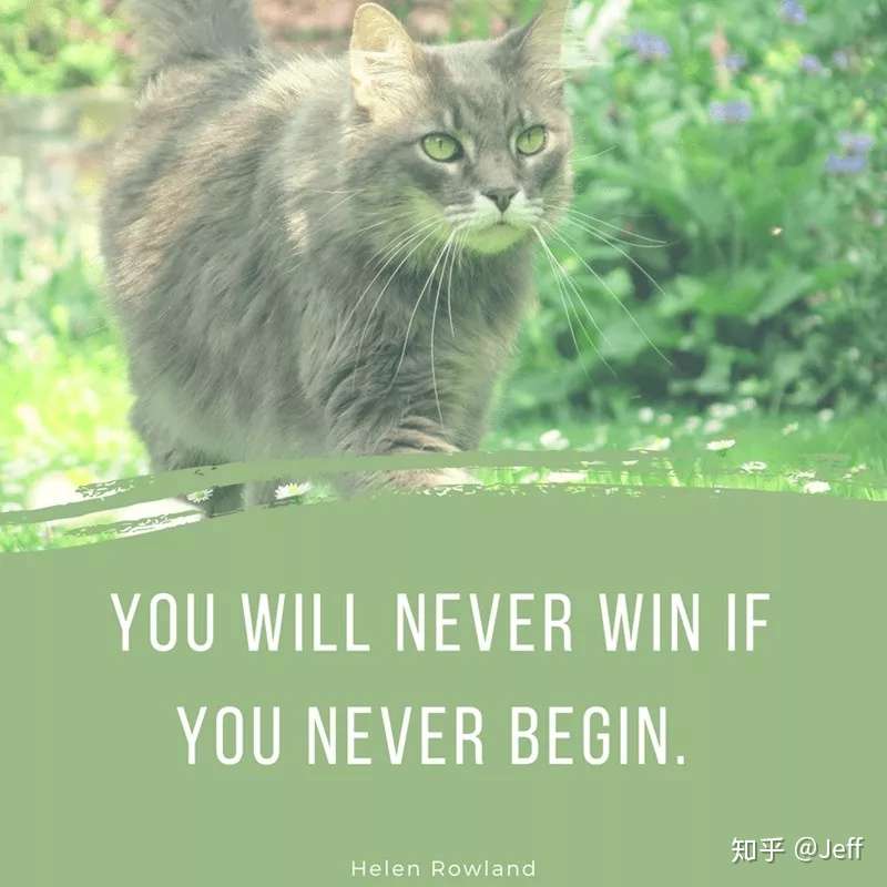 双语名言 事情未成功之前 一切总看似不可能 知乎