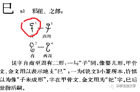 从汉字发展看天干地支的二十二字来源 知乎