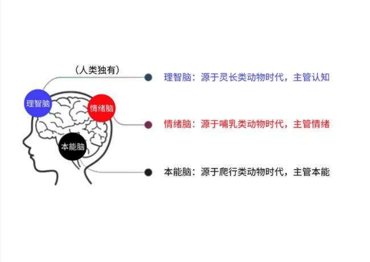 传苹果将收购社交服务 Path，整合入 iMessage