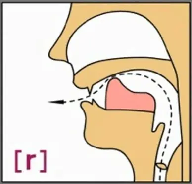 声乐专业——如何练习意大利语中辅音/r