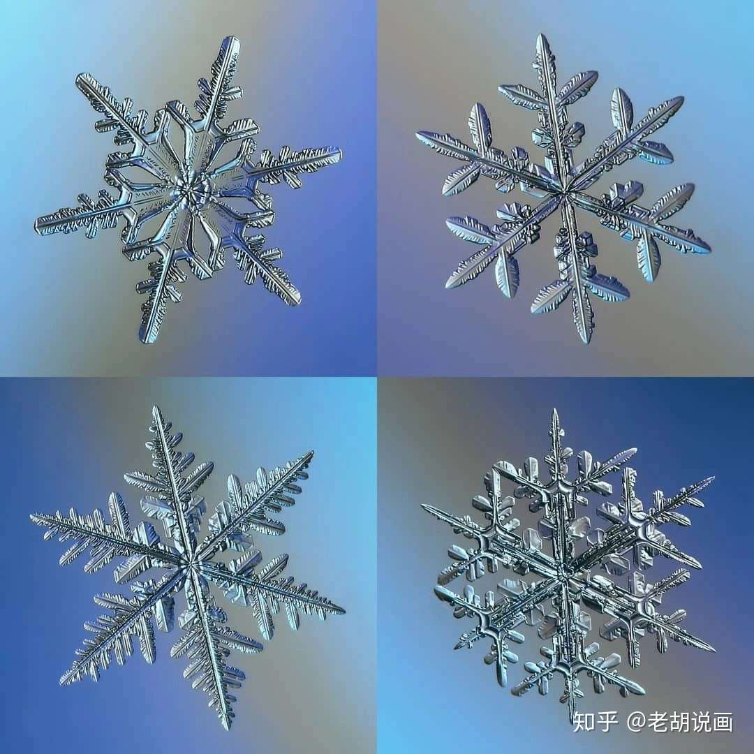 摄影 雪花可以有多美 知乎
