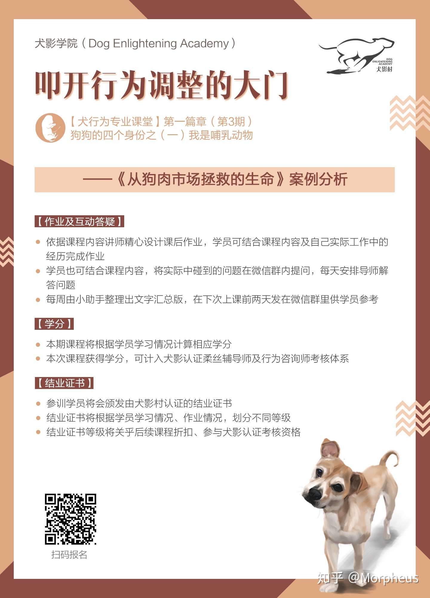 犬行为专业课堂 第一篇章第3期开始报名啦 知乎