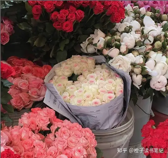 520甜甜的文案来啦，请注意查收哦~