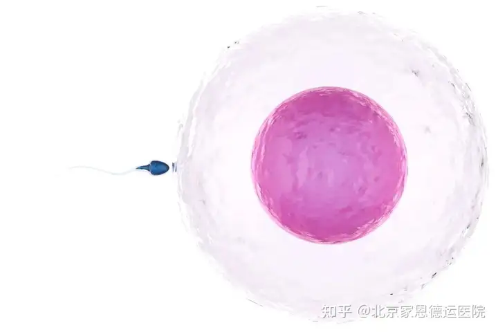 助孕机构上海（除了试管，这个高性价比的助孕技术你一定得知道！）