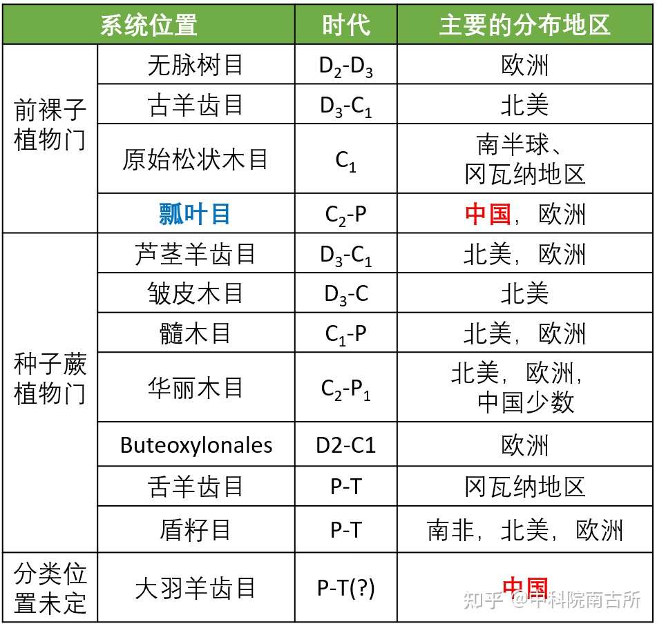 在 植物庞贝城 的发现 揭开了古植物学的一大谜团 知乎