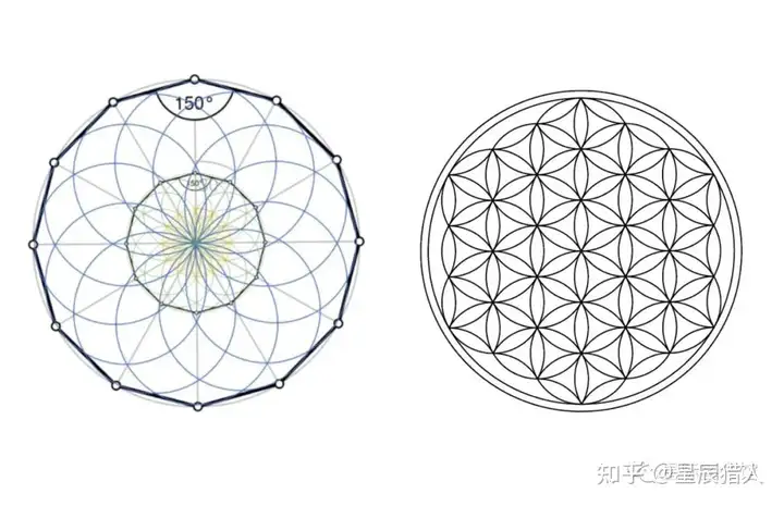 死亡之花和生命之花的区别(图45)