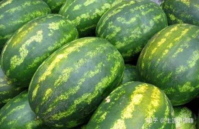 夏天吃西瓜 怎么挑选到好西瓜 看准这5点 知乎