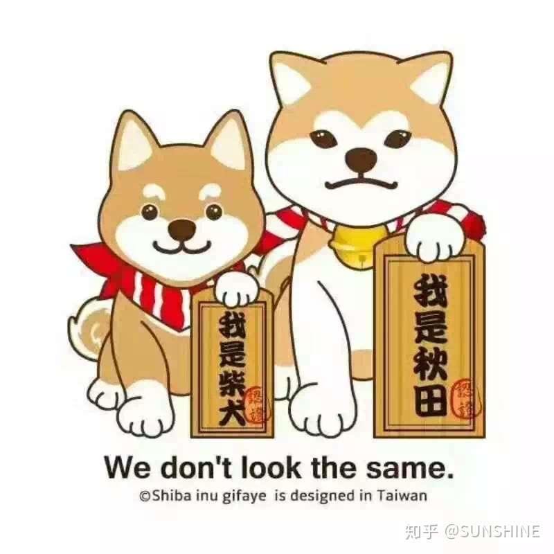 柴犬小讲堂 柴犬鉴别之毛色篇 知乎