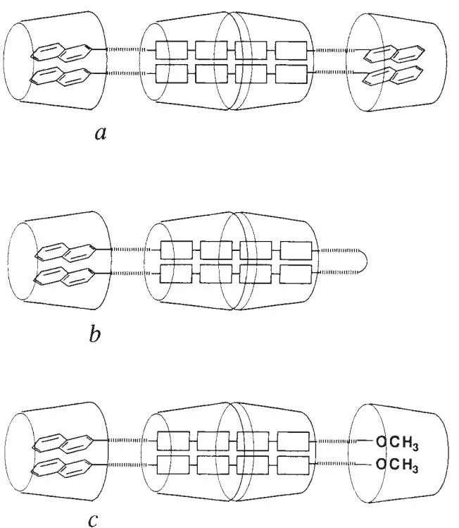 传奇故事 博士期间一年一篇 Nature 连发三篇 知乎