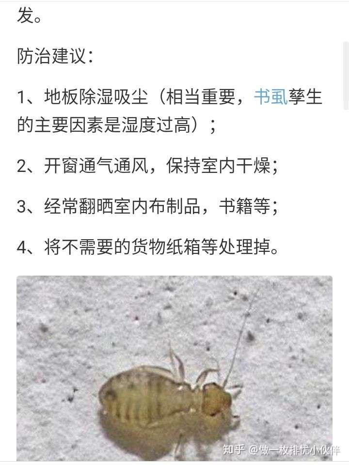 家里的书虱终于消灭了图片