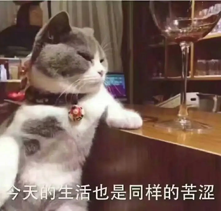 参考检讨书新鲜出炉