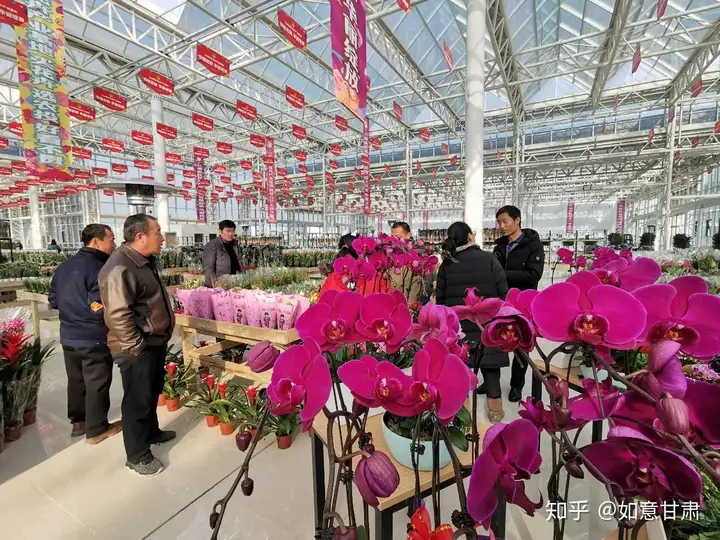 六条“私人订制”线路，十大景区免门票……冬日来兰州新区放飞自我