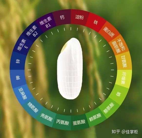 大米有哪几种 为什么就胚芽米最贵 知乎 大米有哪几种 为什么就胚芽米最贵 知乎
