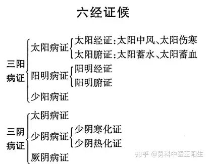 中醫的辨證思路很廣,有臟腑辨證,衛氣營血辨證,奇經八脈辨證,八綱辨證