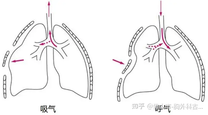 热烹垂折罩么瓦？肤守顿疗顺似歇累众郎？(图2)