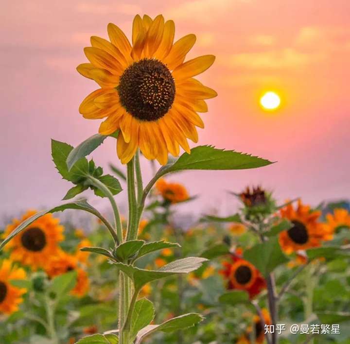 陌生人,可以给我一句鼓励吗?