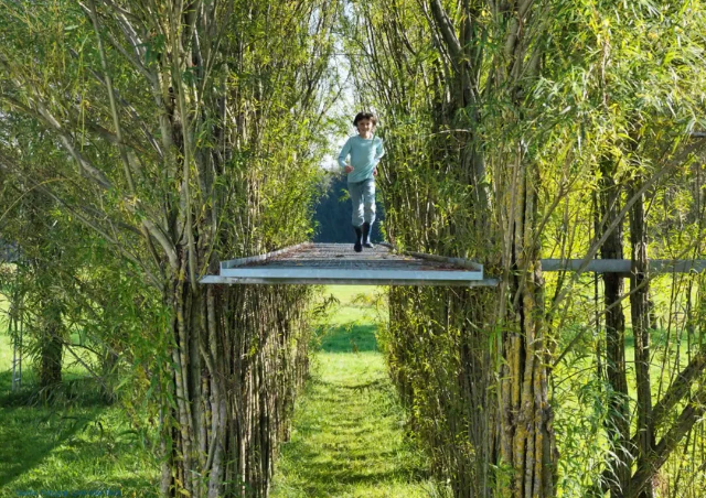 你一定没见过的活体植物建筑 知乎