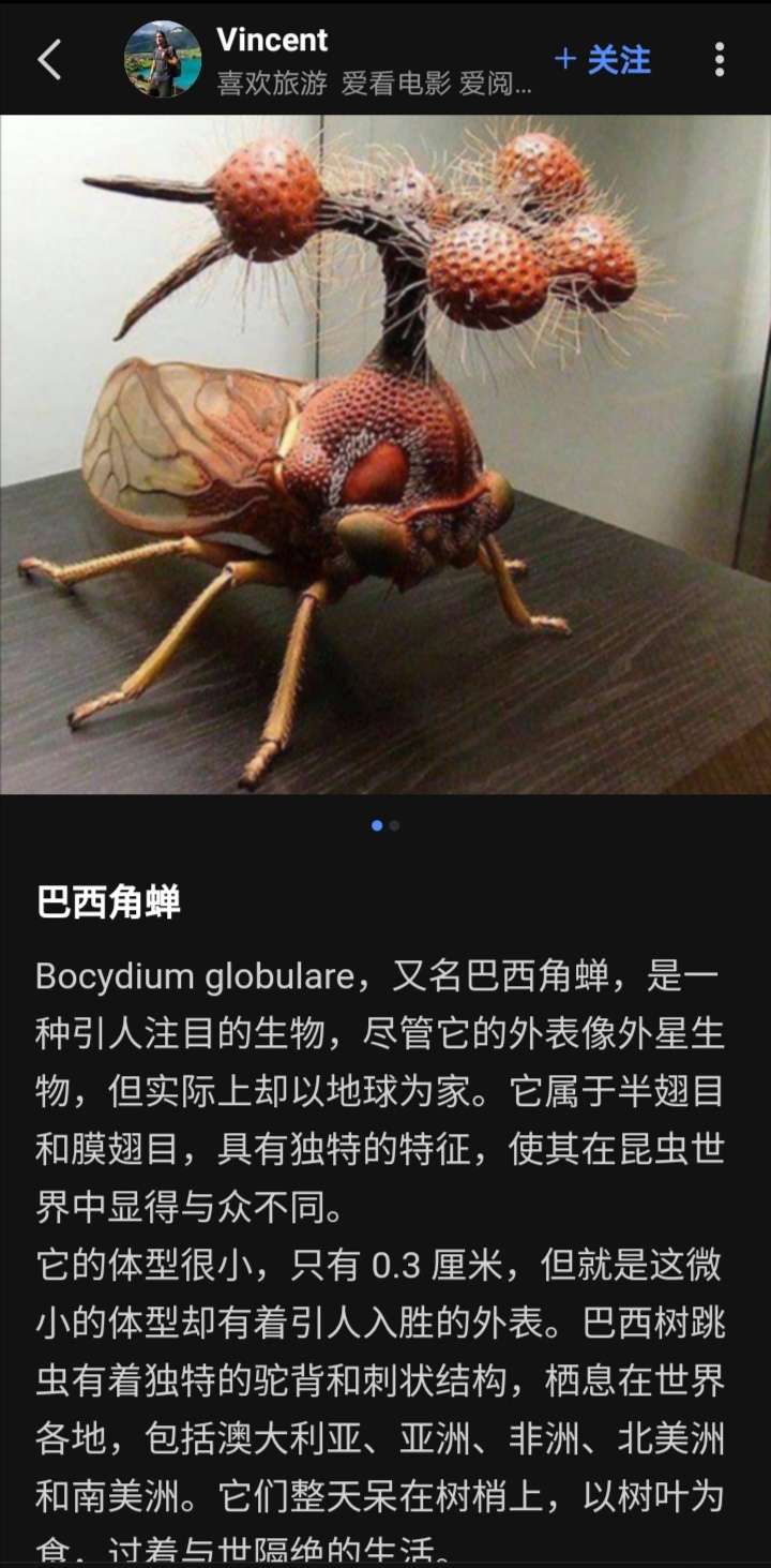 寻方不觉 的想法  混世魔虫