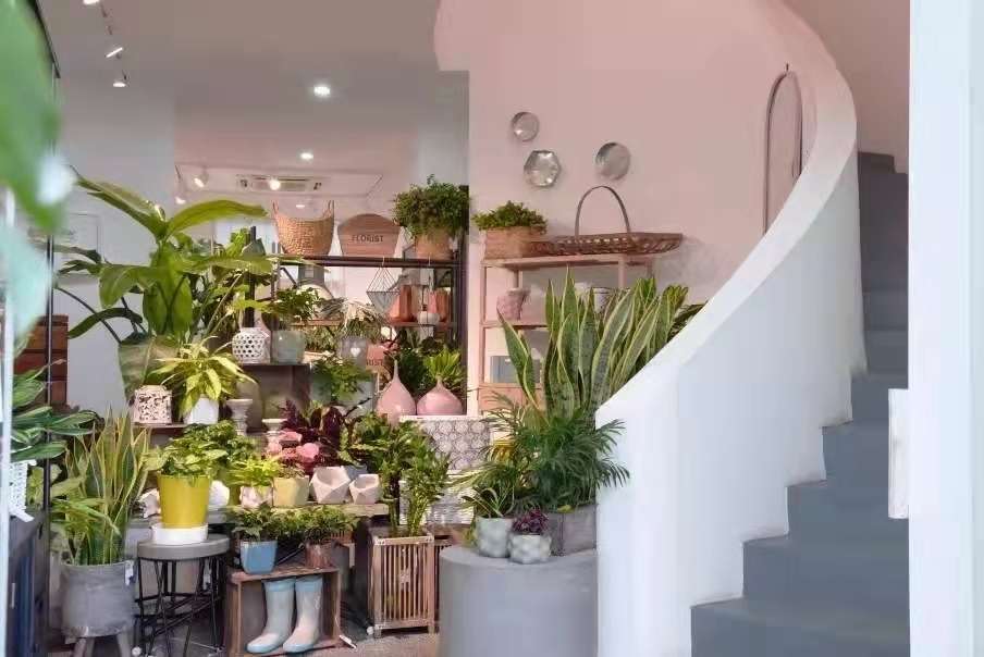 从 三角花屋 到 荷维式 劳姐和她的 千城万店 知乎 从 三角花屋 到 荷维式 劳姐和她的 千城万店 知乎