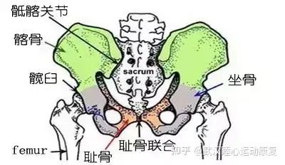 王女士主诉疼痛集中在骶髂关节附近.初次评估(日期:2021.4.