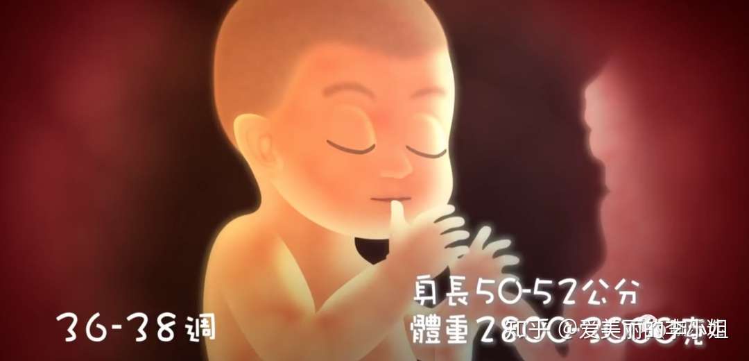 妈妈宝典怀孕第3期发展 产检 饮食 活动篇 知乎