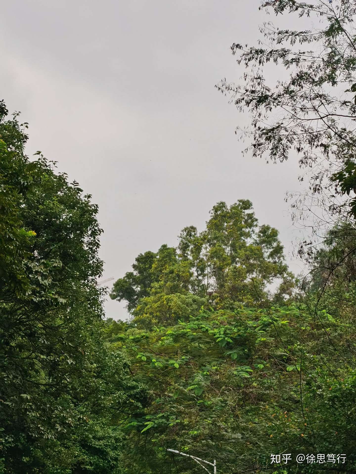 普通人如何摆脱马太效应 突破阶层 知乎