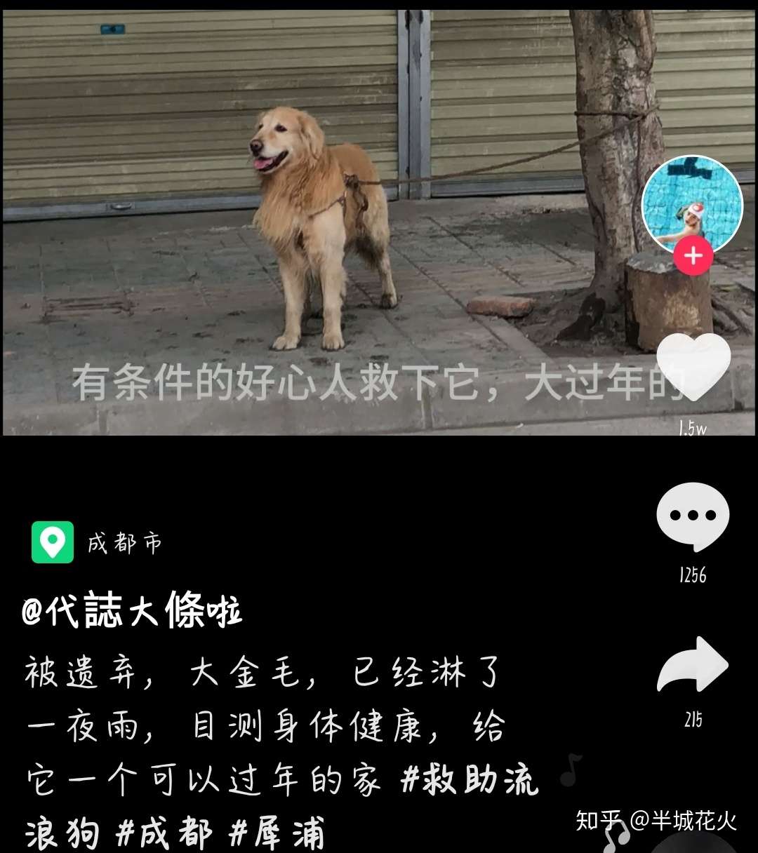 它们何罪之有 人类的错误为什么让这些无辜的鲜活生命来买单 知乎