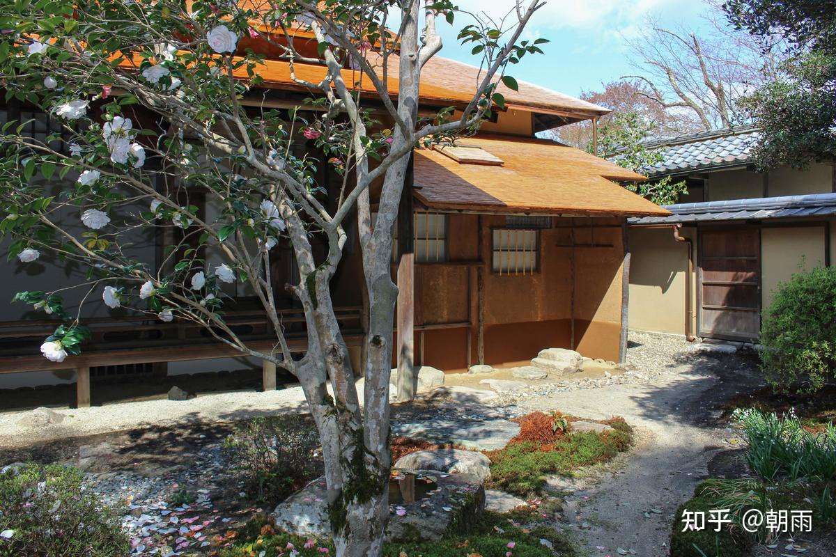 10 京都 曼殊院 三 知乎